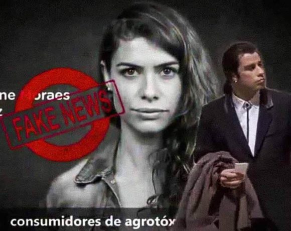 Nizan Guanaes agrotóxico