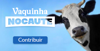 vaquinha nocaute