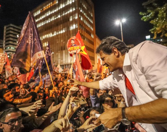 vaquinha Haddad