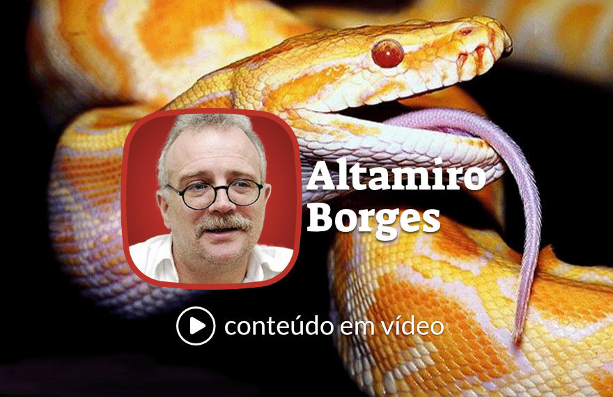 Esquizofrênica a mídia chocou o ovo da serpente