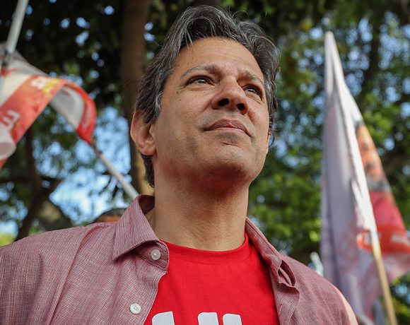 Haddad jogar toalha