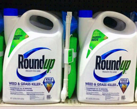 Monsanto intimação Avaaz