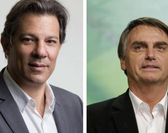 Haddad Bolsonaro interesses