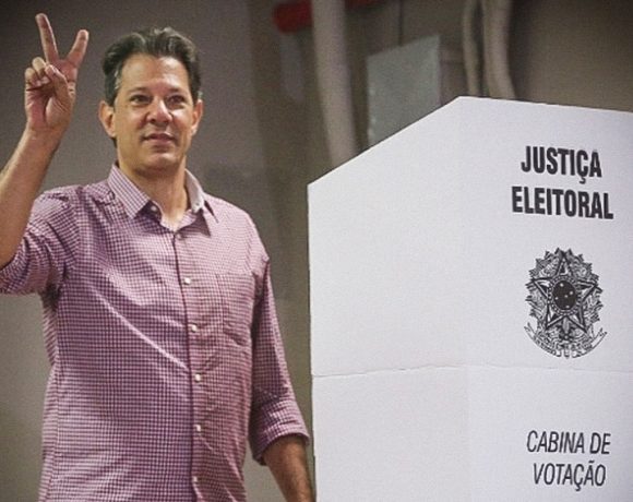 Haddad nas urnas