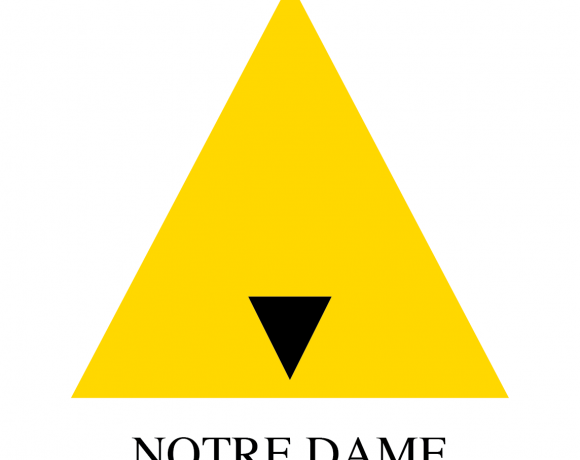 catedral de notre dame