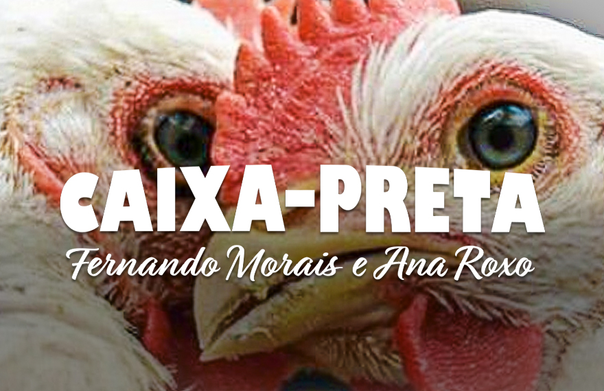 Caixa-Preta: A salmonela está na mesa