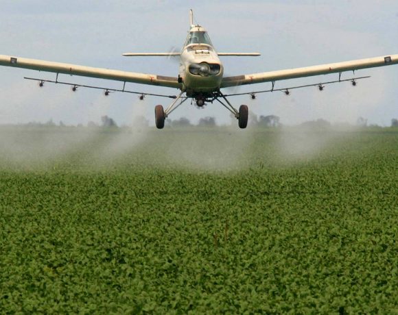 Anvisa muda classificação nas embalagens dos agrotóxicos