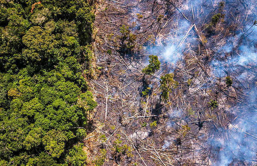 Uma tragédia Amazônica