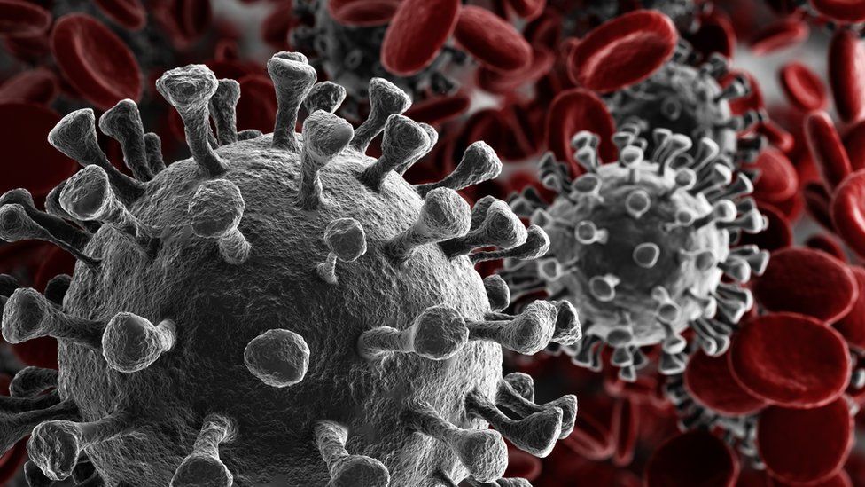 A ciência, as crenças e a pandemia do coronavírus