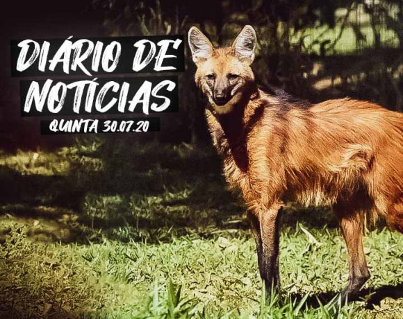Sem ministro da saúde, o Brasil vai caminhando para os cem mil mortos, vítimas do coronavírus. A notícia não é manchete principal de nenhum dos três maiores jornais do país.